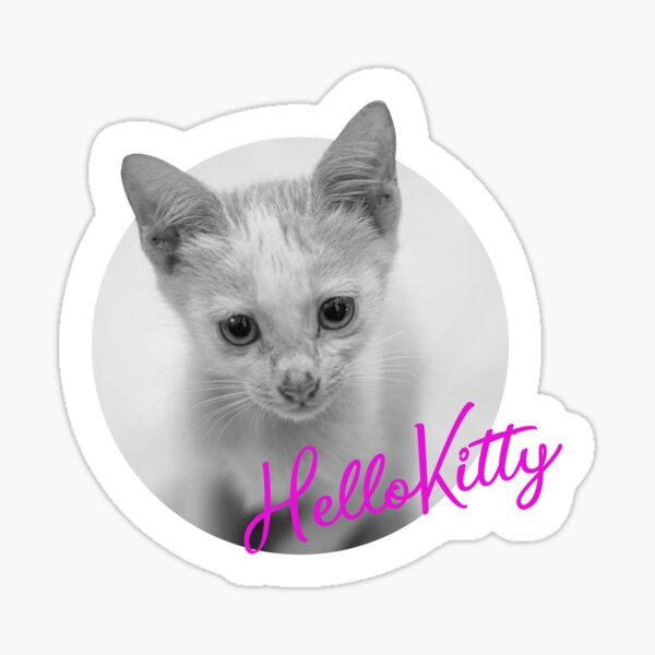 "hello Kitty" Sticker for Sale by albumlk Redbubble