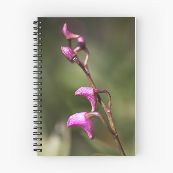 Item preview, Small Orchid designed and sold by Joy Watson - Natural Light Photography .