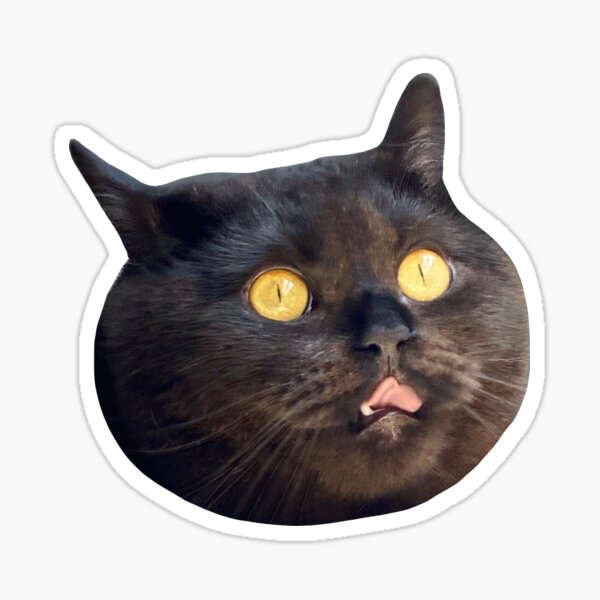 Aperçu de l'œuvre Mlem Vide créée et vendue par sweetbbboysalem.