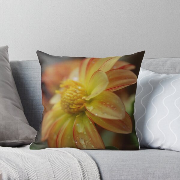 Item preview, zinnia designed and sold by paul gavin.