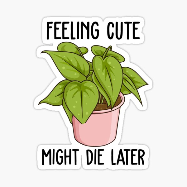 Item preview, Feeling Cute Might Die Later Plant designed and sold by stivenes.