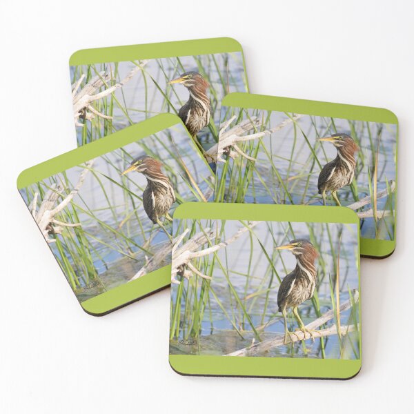 Item preview, Juvenile Green Heron designed and sold by TCW Studios.