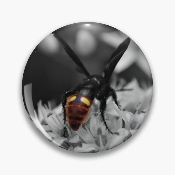 Item preview, Scoliid Wasp Looking for Grubs designed and sold by Photo-Goblin.