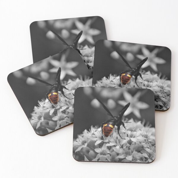 Item preview, Scoliid Wasp Looking for Grubs designed and sold by Photo-Goblin.
