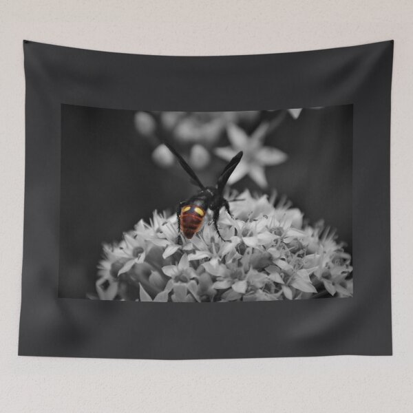 Item preview, Scoliid Wasp Looking for Grubs designed and sold by Photo-Goblin.
