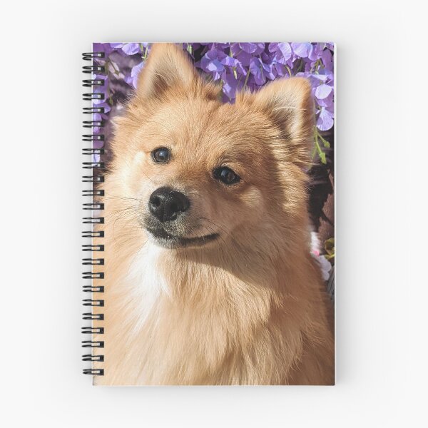 Item preview, Kai the pom designed and sold by Fluffycat2020.