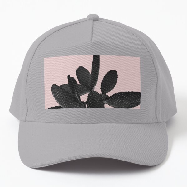 Soft Snapback Hat for Unisex Baseball Cap 2 Mens and Womens 100% Polyester Prickly Pear and Cactus 