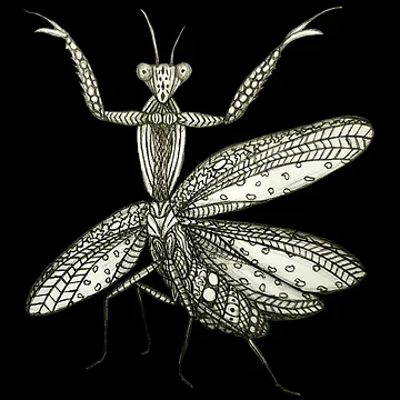 Artwork thumbnail, Mantis by J-Rage