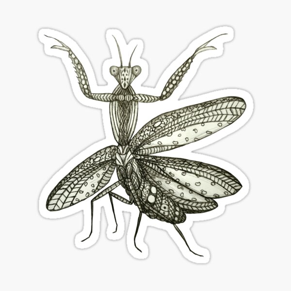 Item preview, Mantis designed and sold by J-Rage.