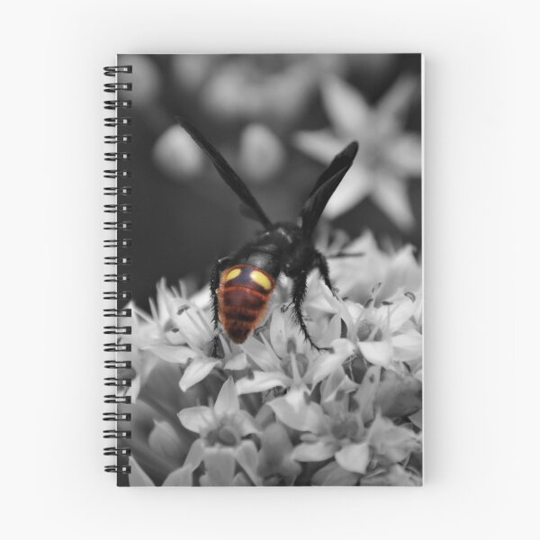Item preview, Scoliid Wasp Looking for Grubs designed and sold by Photo-Goblin.