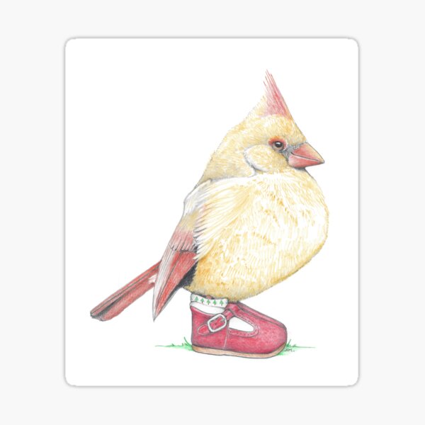 Item preview, Cardinal Youngster in Buckle Shoes designed and sold by JimsBirds.