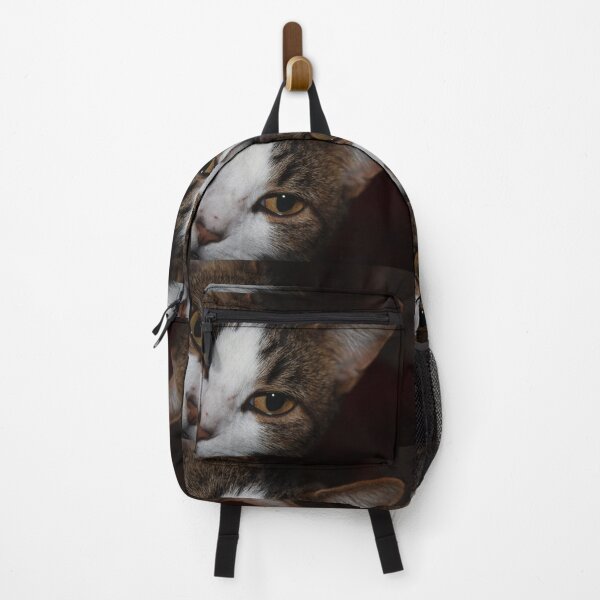 Item preview, Here kitty, kitty... designed and sold by chstudios.