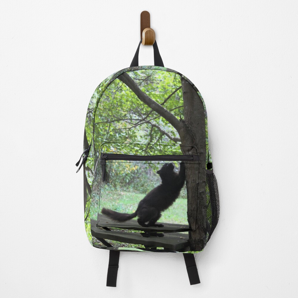 Item preview, Backpack designed and sold by chstudios.