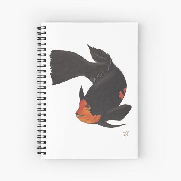 Harlequin Wrasse Spiral Notebook
