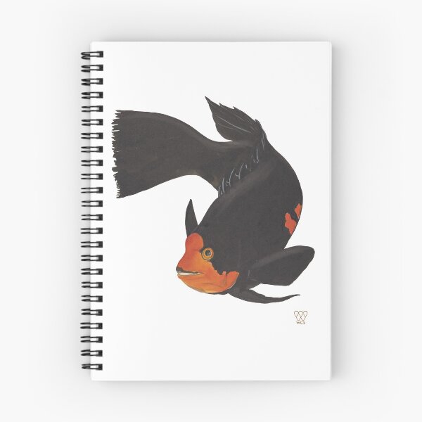 Item preview, Harlequin Wrasse designed and sold by WCS-Archives.