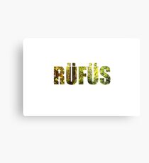 RĂœFĂœS / RĂœFĂœS DU SOL Metal Print
