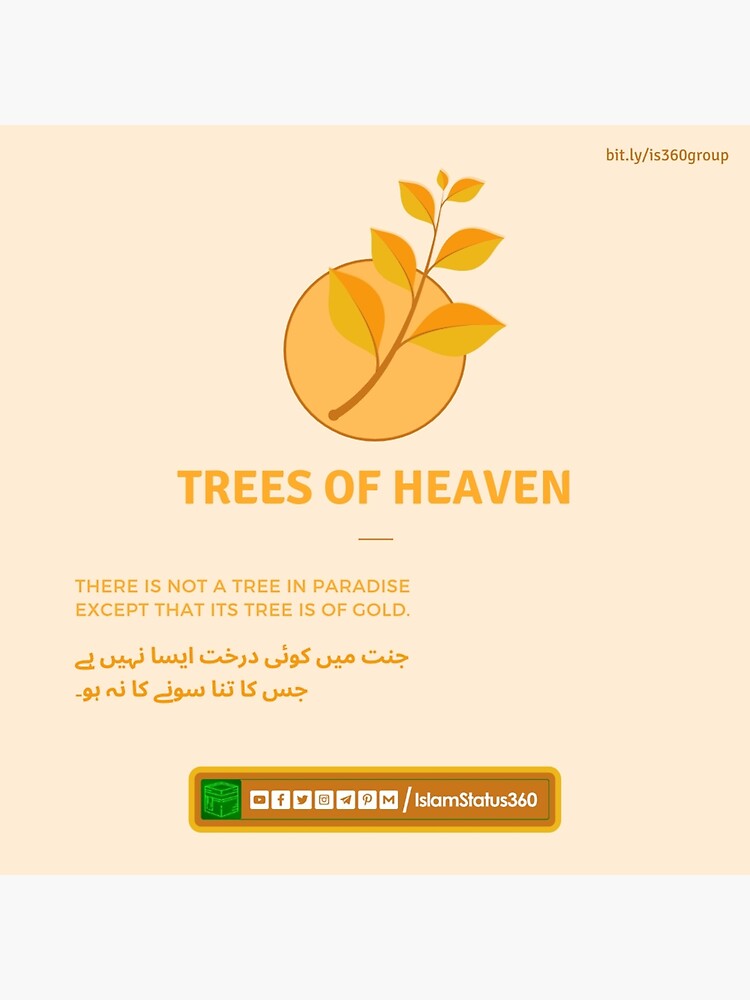 Trees of Heaven Tirmazi 2525 Authentic Hadiths by Islam