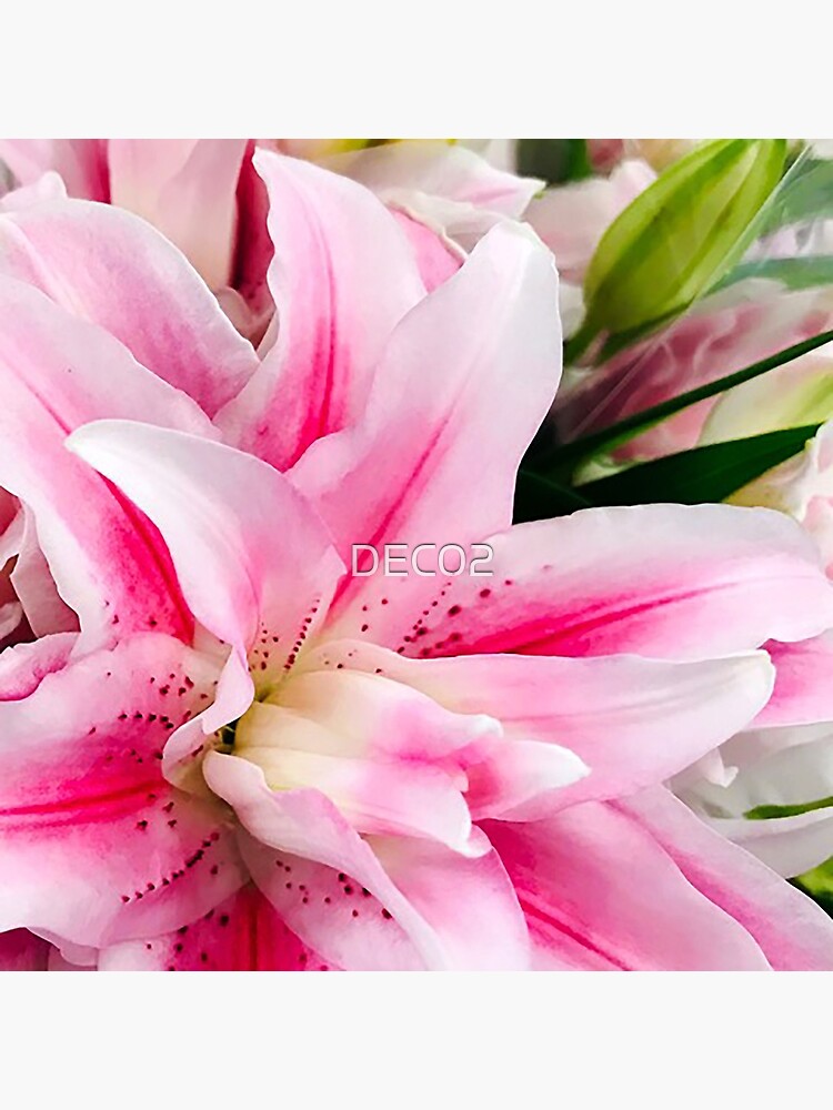 Pink Star Exotic Bouquet