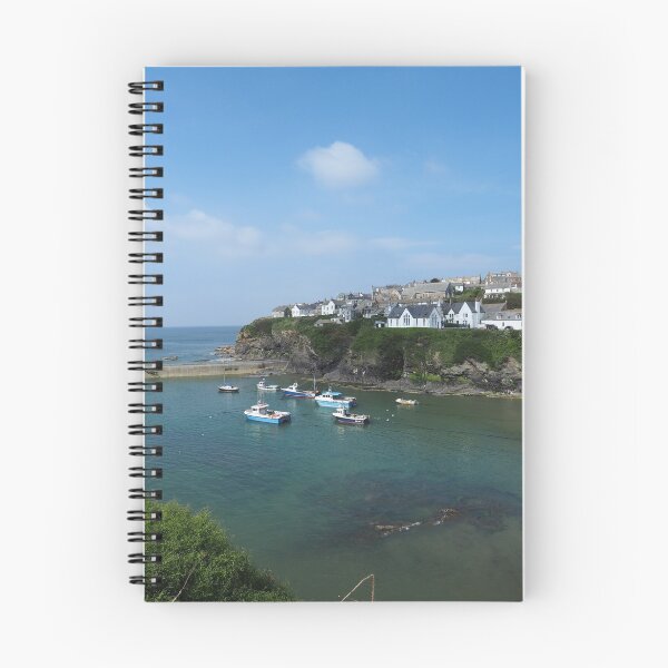 Aperçu de l'œuvre Port Isaac créée et vendue par Canbies.