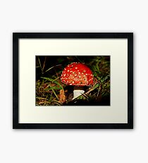 Red Cap Framed Print
