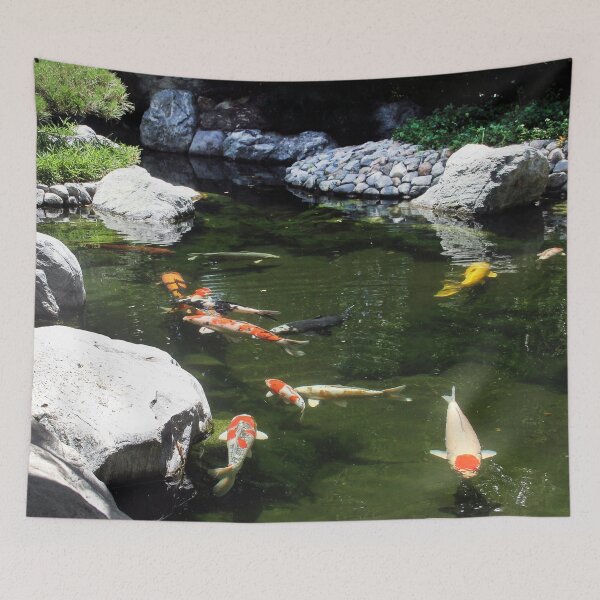 Artikelvorschau, Koi im Japanischen Freundschaftsgarten, Balboa Park entworfen und verkauft von heatherfriedman.