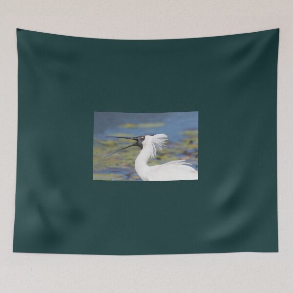 Item preview, Hey Girls! designed and sold by byronbackyard.