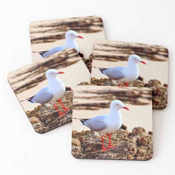 Item preview, Currumbin Beach Seagull designed and sold by ginnymac.