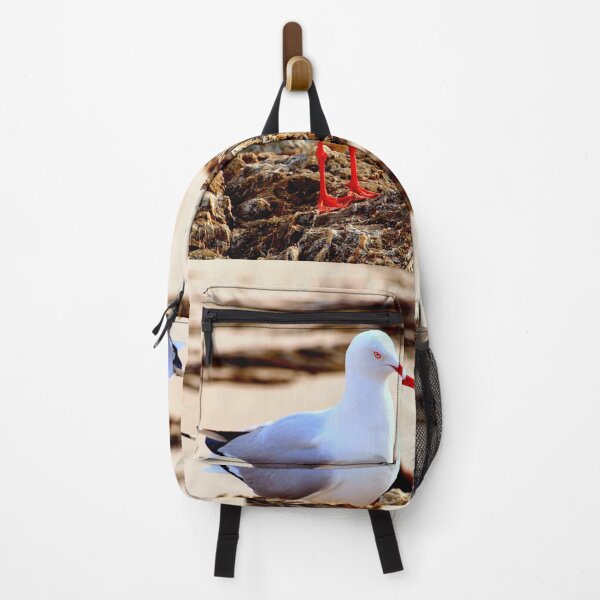 Item preview, Currumbin Beach Seagull designed and sold by ginnymac.