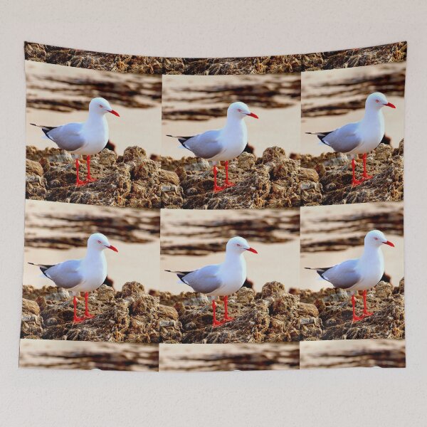 Item preview, Currumbin Beach Seagull designed and sold by ginnymac.