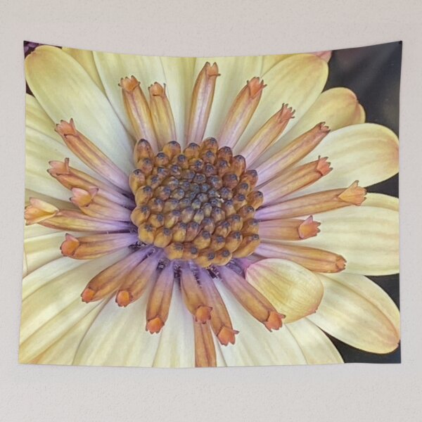 Item preview, Osteospermum, yellow/lemon flower head  designed and sold by Lorraine Lashley  - My Joy..