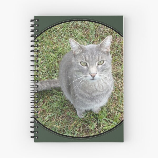 Item preview, Sat Cat designed and sold by CJGrimes.