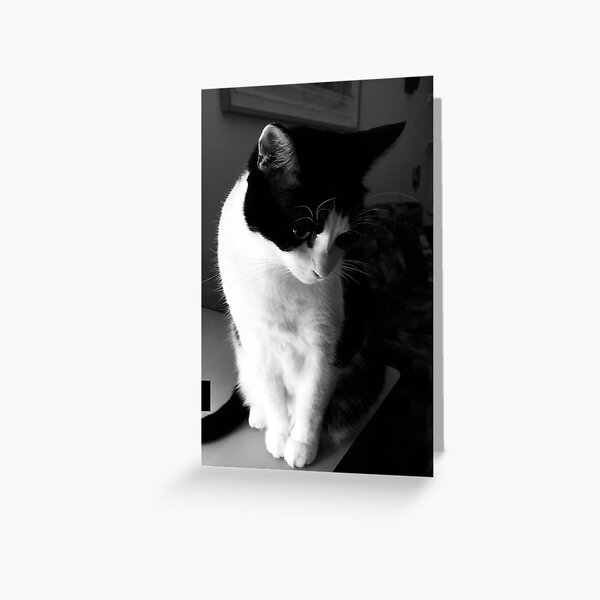 Emma - thinking of you Greeting Card