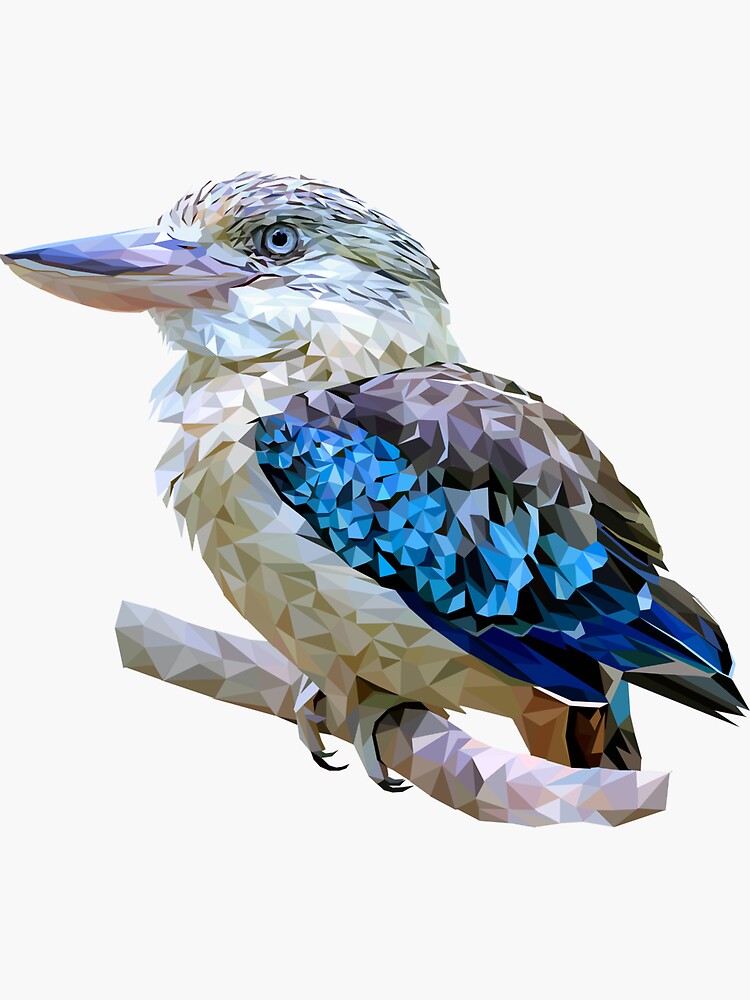 "Kookaburra" Sticker for Sale by misstayco Redbubble