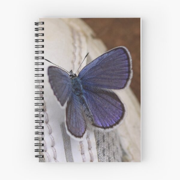 Item preview, Karner Blue Butterfly designed and sold by jenndes.