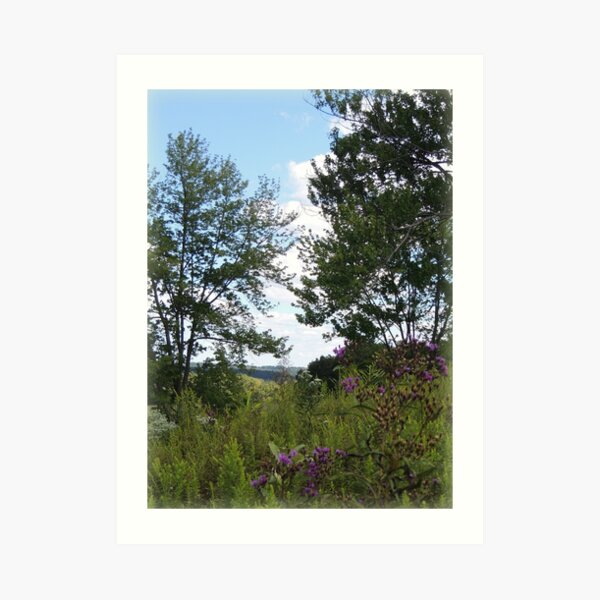 View of the Hills from the Chaparral Prairie Art Print