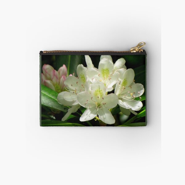 Item preview, American Rhododendron designed and sold by Jean Gregory Evans.