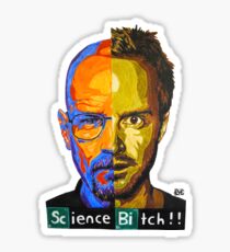 Breaking Bad Science Bitch!!! Sticker