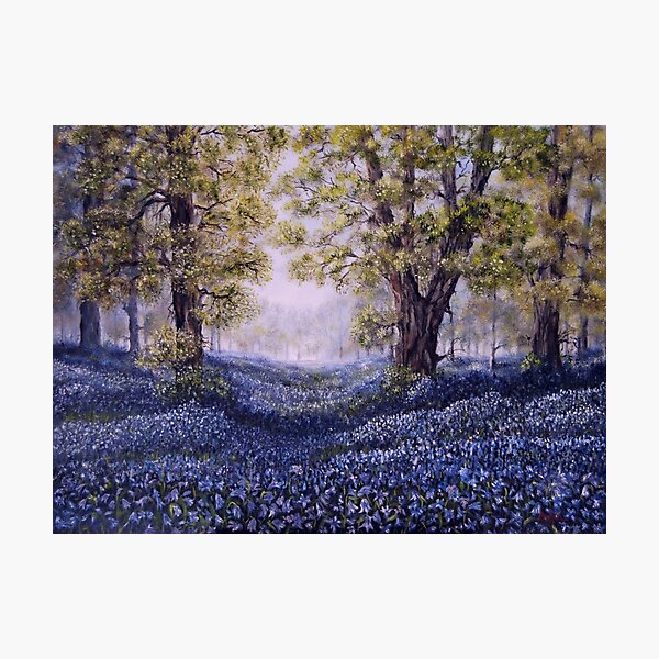 "Mary's Bluebells" - oil painting Photographic Print