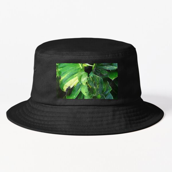 Item preview, Island Palm Leaves In Tropical Rain Forest Jungle  designed and sold by DEC02.