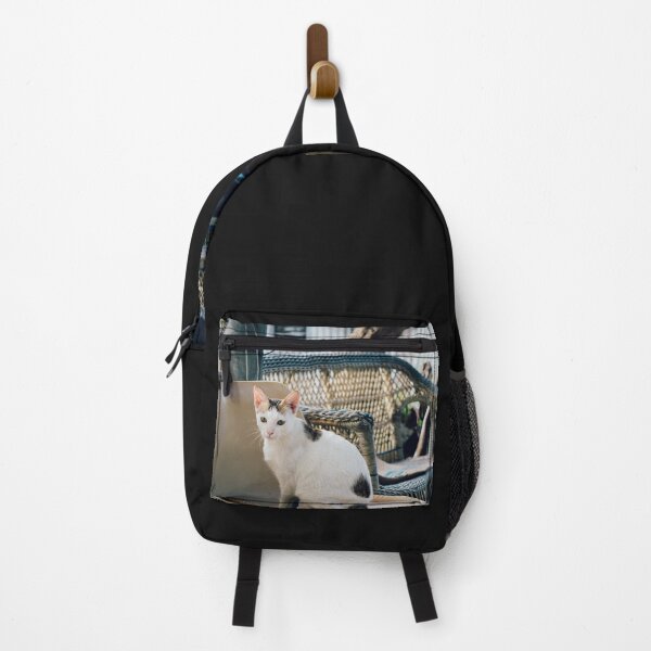 Item preview, Elegant Cat Sitting on Distressed Furniture - Roadside Street Scene - Street Cat Smartie designed and sold by sthNnth.