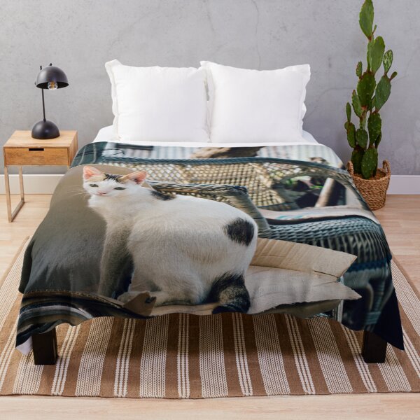 Item preview, Elegant Cat Sitting on Distressed Furniture - Roadside Street Scene - Street Cat Smartie designed and sold by sthNnth.