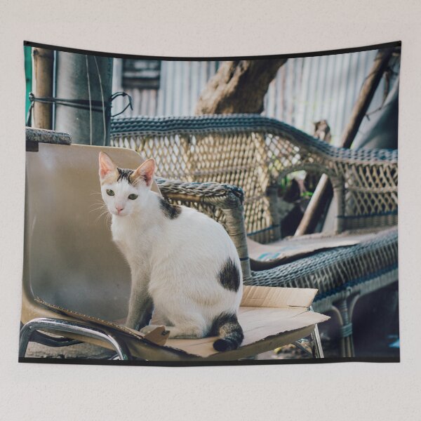 Item preview, Elegant Cat Sitting on Distressed Furniture - Roadside Street Scene - Street Cat Smartie designed and sold by sthNnth.