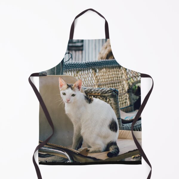 Item preview, Elegant Cat Sitting on Distressed Furniture - Roadside Street Scene - Street Cat Smartie designed and sold by sthNnth.