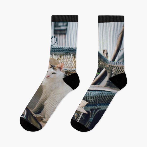 Item preview, Elegant Cat Sitting on Distressed Furniture - Roadside Street Scene - Street Cat Smartie designed and sold by sthNnth.