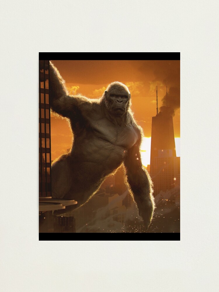 godzilla vs kong, BEST DESIGN #godzilla vs kon