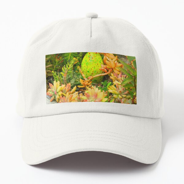 Contemporary, Colorful Succulents in Vintage Clay Pot Art Photo Dad Hat