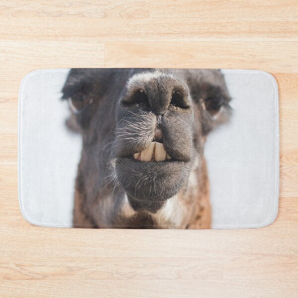 Item preview, Hey This Is A Llama, Not An Alpaca! - Grumpy Funny Face on A Farm Chewing Grassroots - Funny Llama Face designed and sold by sthNnth.