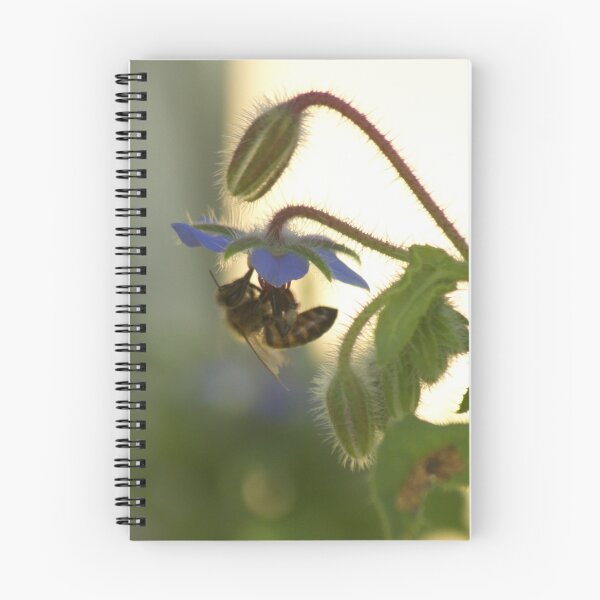 Item preview, bee feeding on borage designed and sold by SarahDownunder.