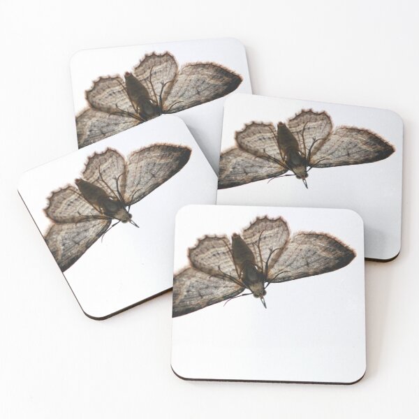 Item preview, backlit, moth,   designed and sold by SarahDownunder.