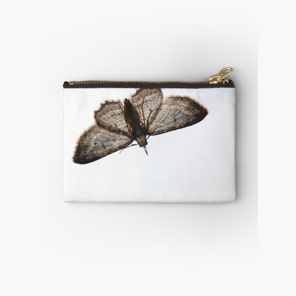 Item preview, backlit, moth,   designed and sold by SarahDownunder.